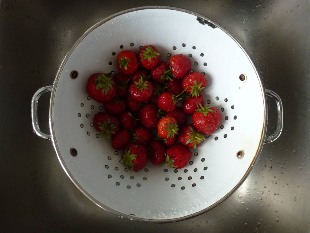 Terracina strawberries