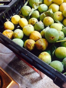 fresh italian figs for jam