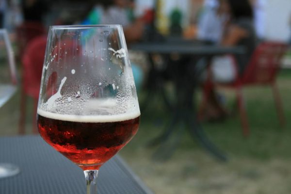 Craft beer discovery · www.casamiatours.com