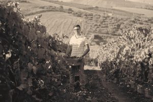 Giuseppe Vaccaro, nonno