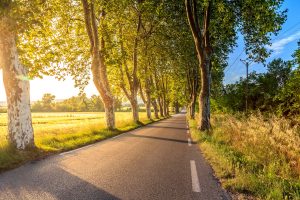 on the road to 2020