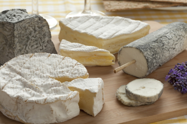 European raw milk cheeses