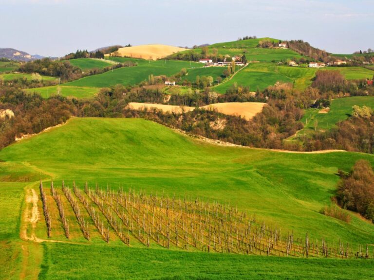 Casa Mia Tours | Blog | Our must visit Emilia Romagna destinations