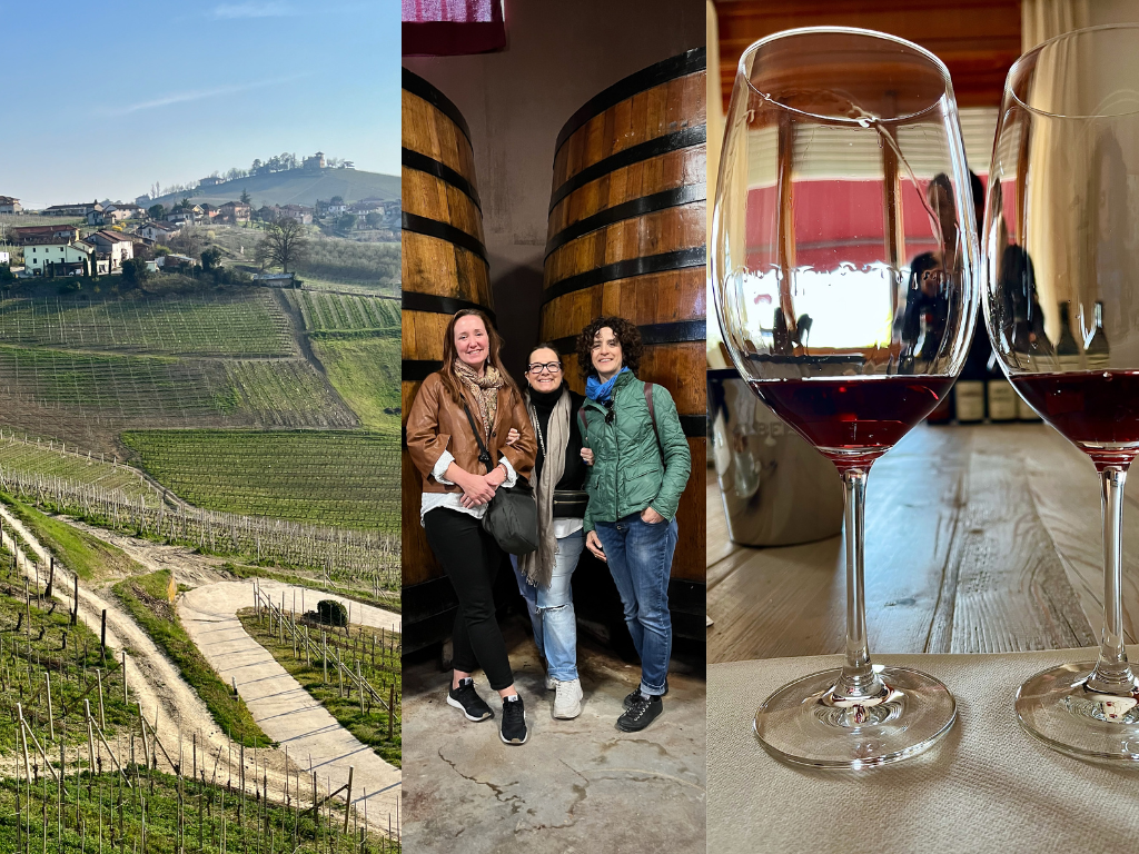 wine tasting in piedmont