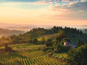 Tuscany, home of finocchiona