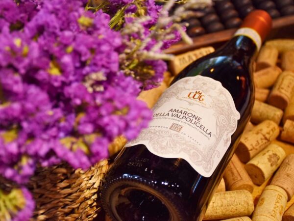 bottle of amarone della valpolicella wine resting on wine corks