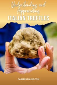 italian truffles pin