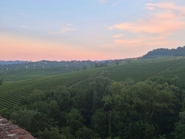 barolo hills at sunset