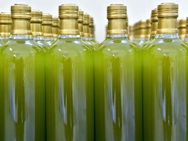 italian olive oil in bottles lined up