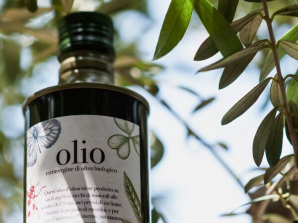 extra virgin olive oil bottle