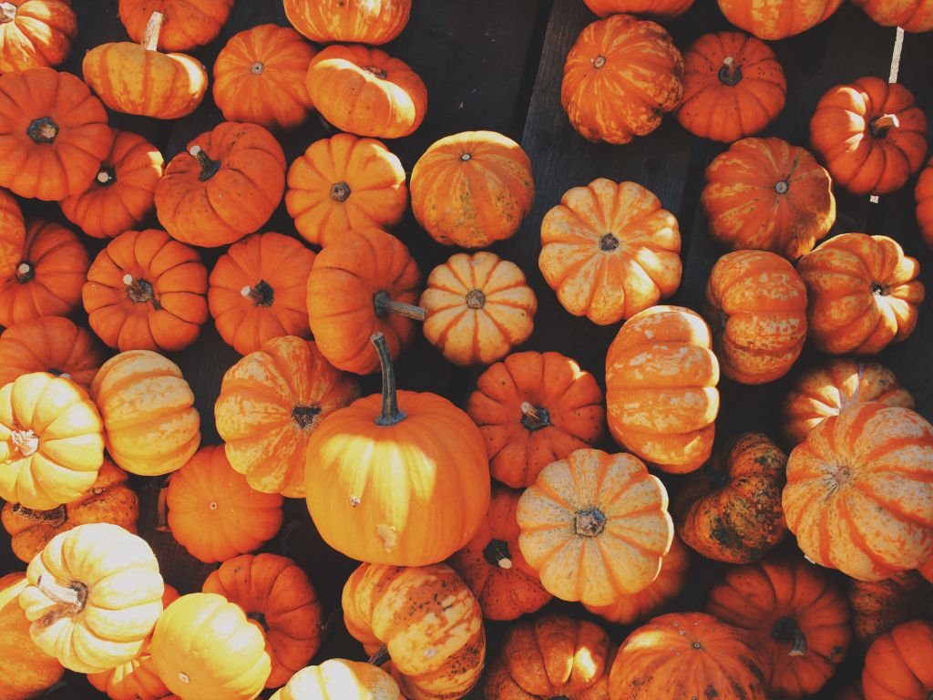 Martha's Damn Good Pumpkin Bread