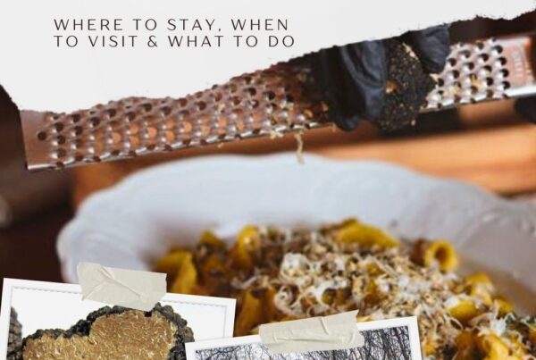 italian truffle season pin