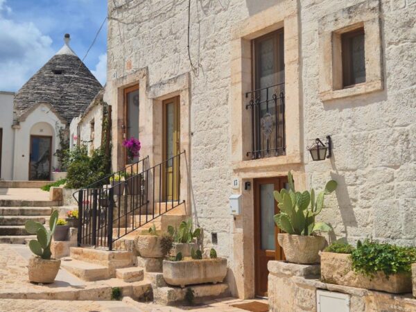 puglia and basilicata whitewashed house with cactus plants outside