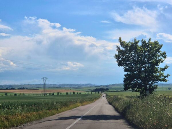 basilicata countryside with road in the middle