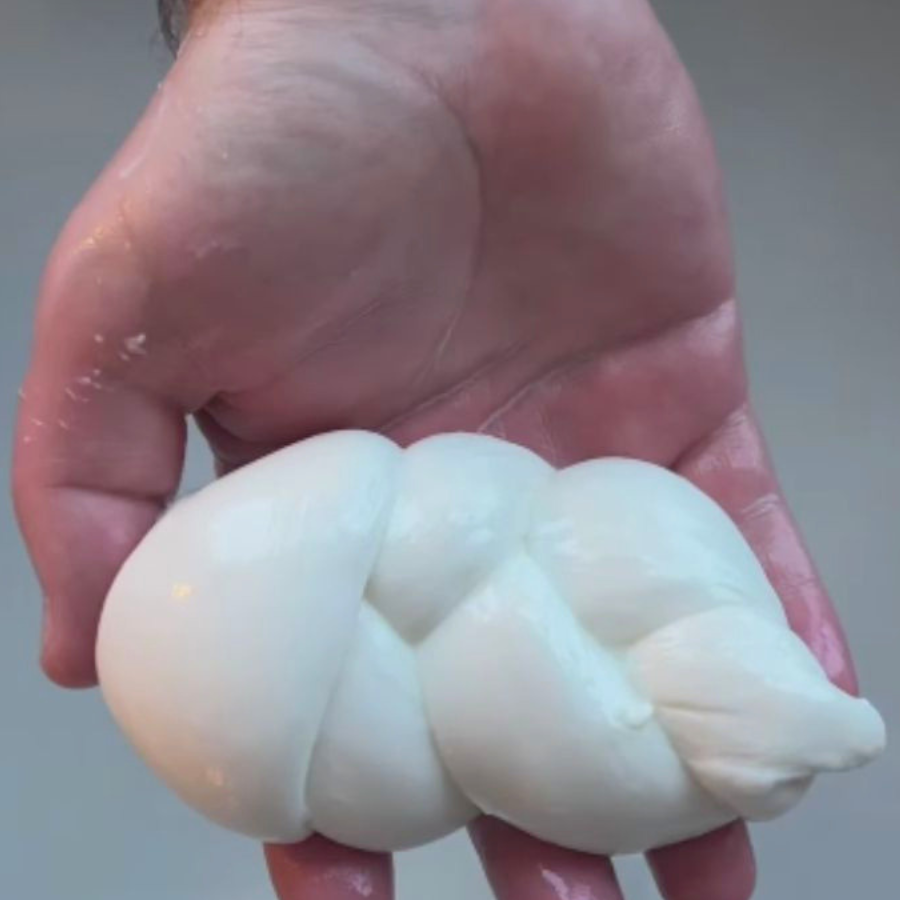 Platted cheese in palm of a hand