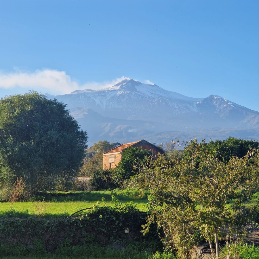 A garden in Sicily with a house and Mount Etna in the background
