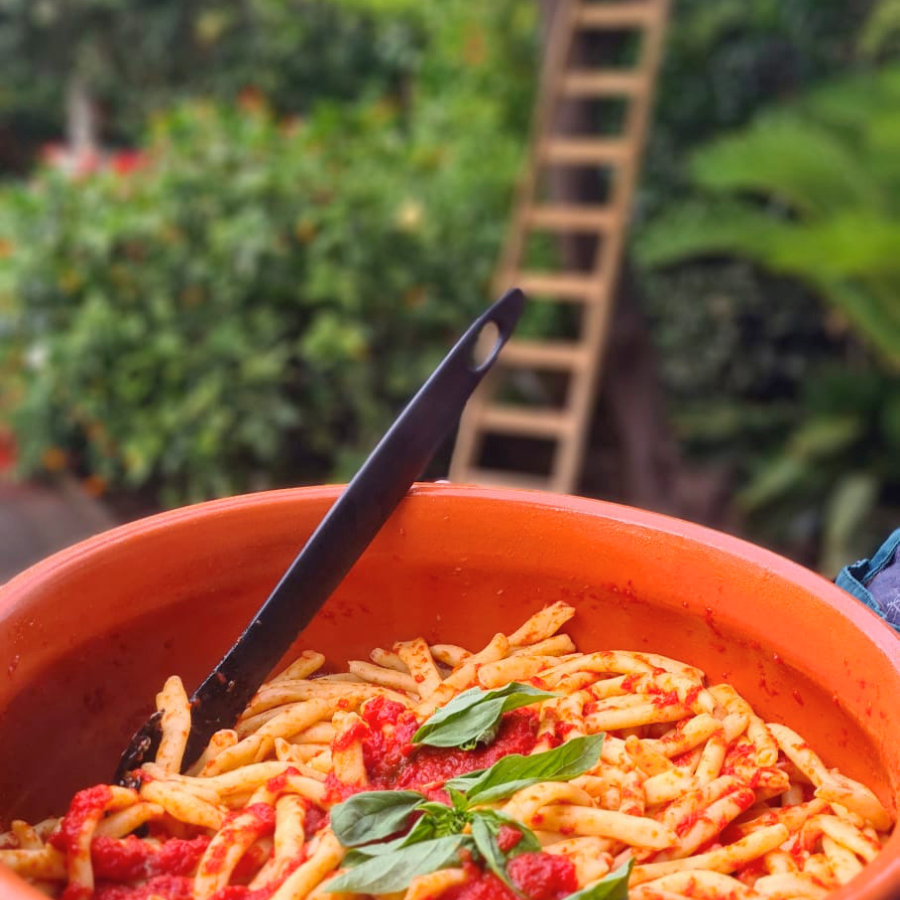 A bowl of tomato pasta in a garden with a ladder