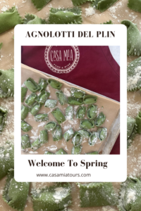 agnolotti del plin pin
