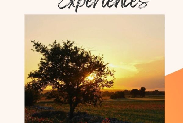 puglia experiences pin