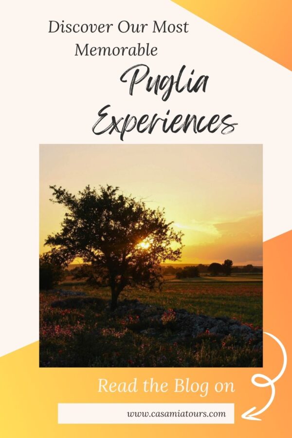 puglia experiences pin