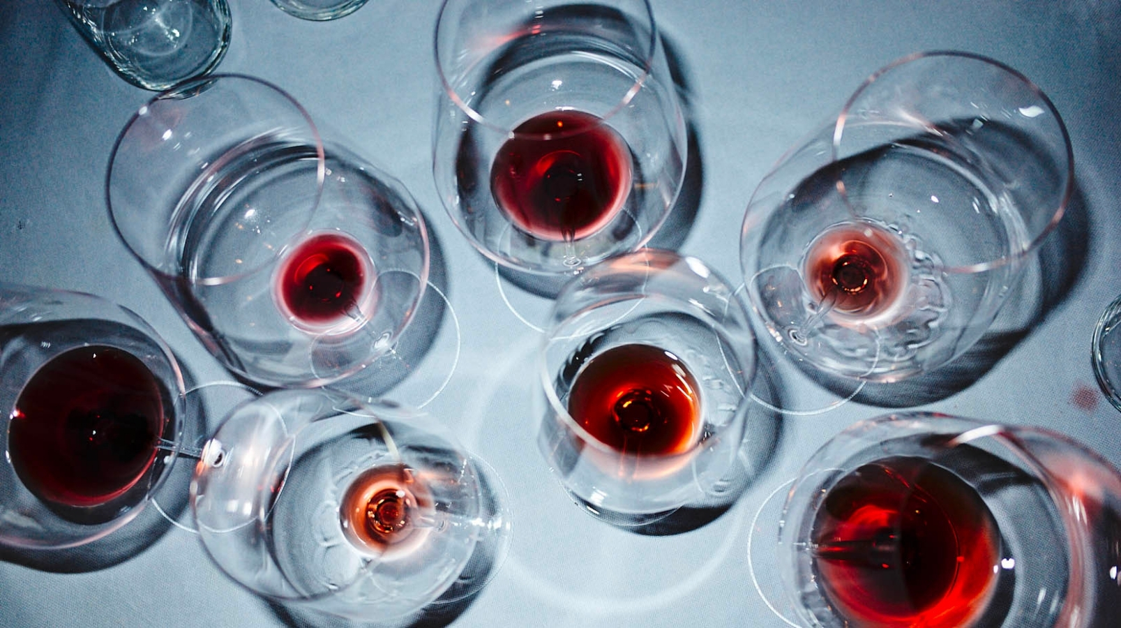 emidio pepe abruzzo wine tasting