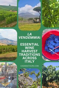 la vendemmia wine harvest traditions pin