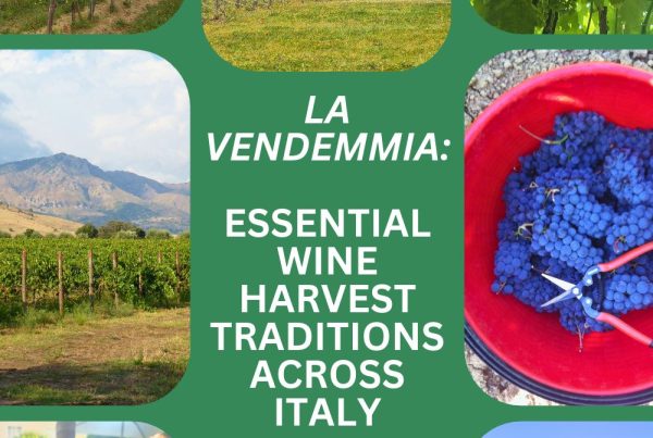 la vendemmia wine harvest traditions pin