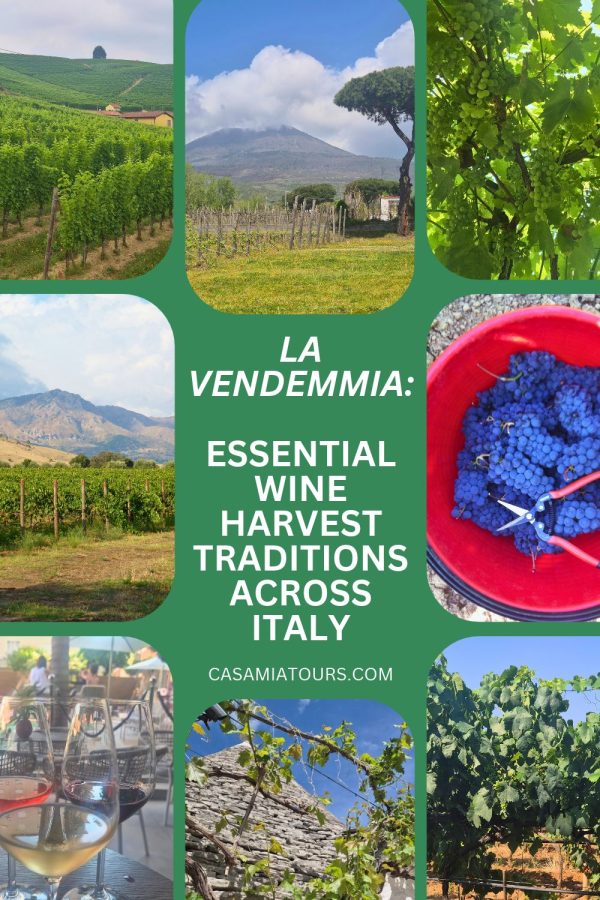 la vendemmia wine harvest traditions pin
